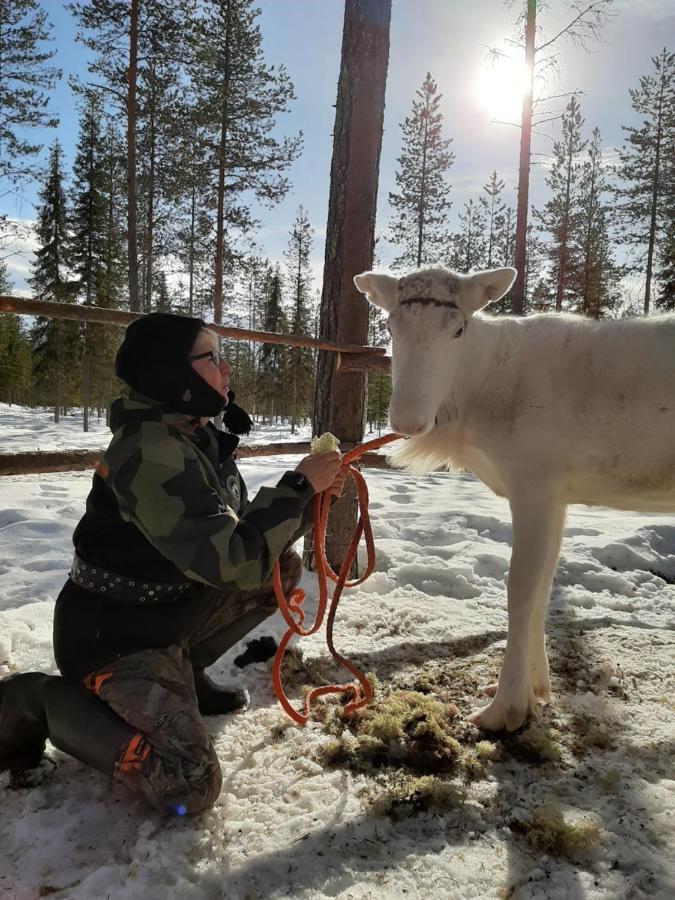 Сasa de vacaciones Reindeer Lampsijärvi