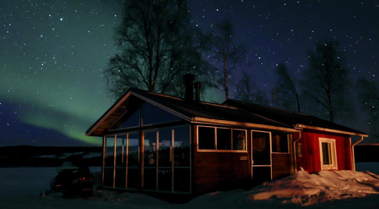 Reindeer Lampsijärvi