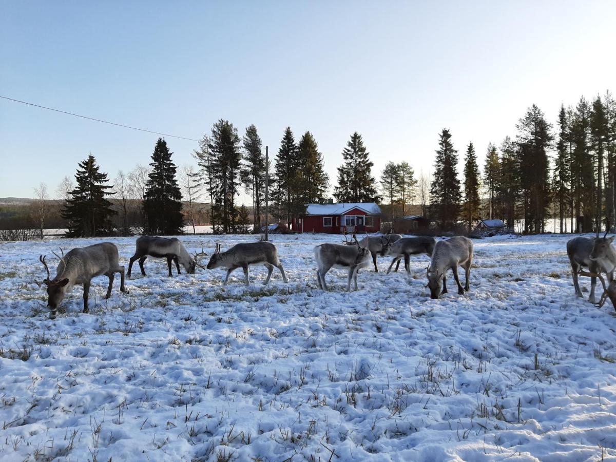 Reindeer Сasa de vacaciones *
