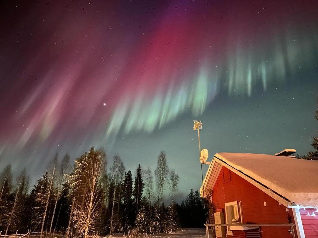 Reindeer Lampsijärvi