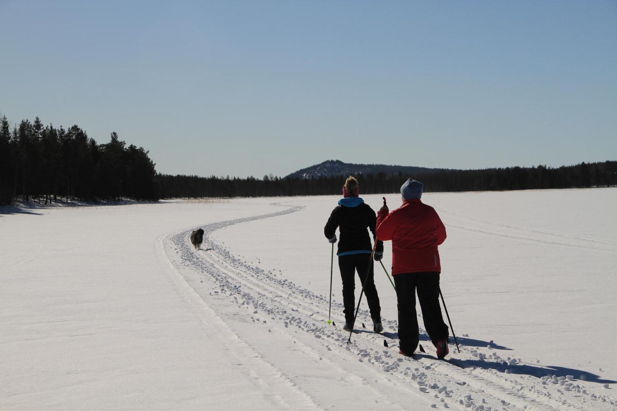 Сasa de vacaciones Reindeer Lampsijärvi