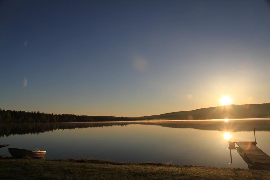 Reindeer Lampsijärvi
